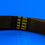 Ремень для стиральной машины 1061 H8 EL «Hutchinson», оригинал (C00082812)