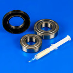 Комплект подшипников SKF и сальник LG (205 + 206 + 37-66-9,5/ 12 + Смазка), оригинал (4036EN2001B)